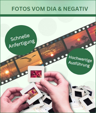 Bild von Dia